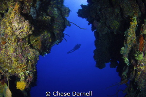 Never stop exploring! 
North Wall, Grand Cayman by Chase Darnell 